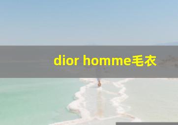 dior homme毛衣